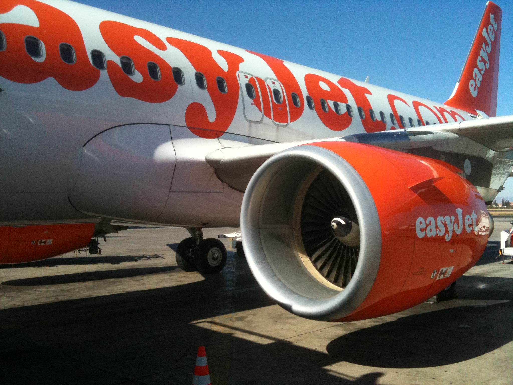 Авиакомпания EASYJET. EASYJET. EASYJET Moscow. Изиджет лошадь.